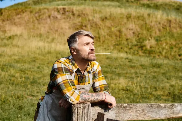 Красивый фермер с татуировками и бородой с соломой во рту расслабляется на ферме и смотрит в сторону — стоковое фото