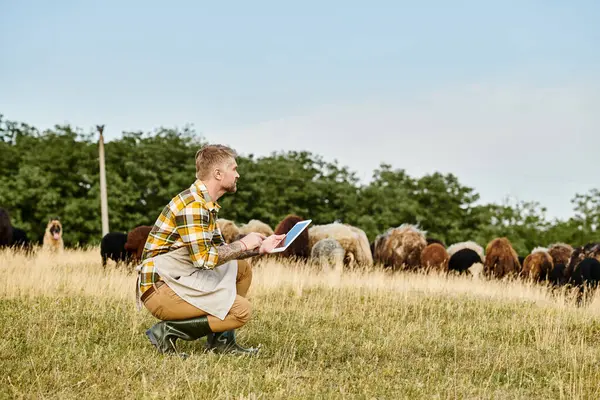 Atractivo granjero con barba y tatuajes usando tableta para analizar su ganado de ovejas y corderos - foto de stock