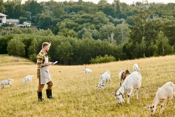 Granjero moderno de buen aspecto con barba y tatuajes usando portapapeles para analizar su ganado de cabras - foto de stock