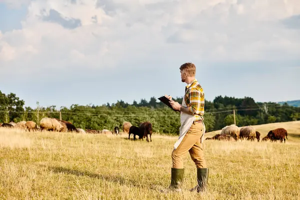 Bello agricoltore moderno con la barba e tatuaggi utilizzando appunti per analizzare il suo bestiame di pecore — Foto stock