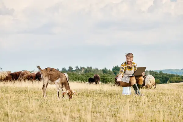 Schöner moderner Bauer mit Bart sitzt mit Laptop und analysiert seine Ziegen und Schafe — Stockfoto
