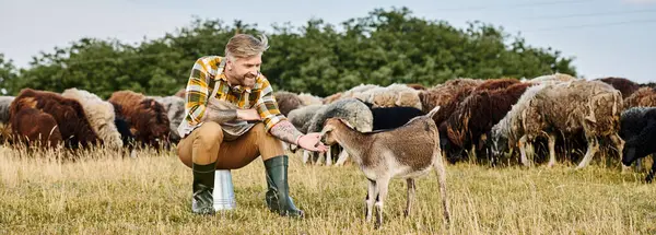 Guapo alegre hombre con tatuajes sentado y llegar divertido lindo cabra en el campo, moderno granjero, bandera - foto de stock