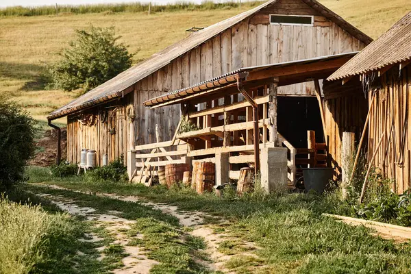 Oggetto foto di vecchia casa in legno circondata da verdi nel villaggio rurale, urne di latte accanto ad esso — Foto stock