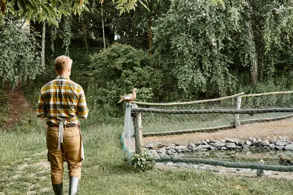 Visão traseira do fazendeiro moderno em traje casual posando ao lado de aviário com gansos enquanto na aldeia — Fotografia de Stock