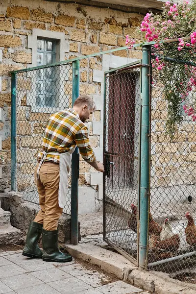 Bel homme barbu en tenue décontractée avec tatouages ouverture enceinte avec des poulets tout sur sa ferme — Photo de stock