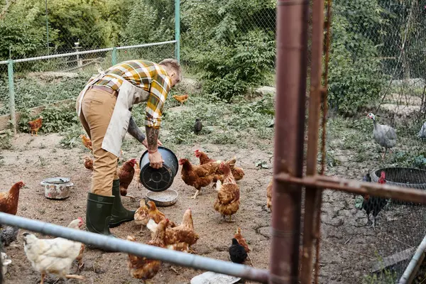 Привлекательный трудолюбивый человек с татуировками, кормящий кур в птичнике, пока он на ферме — стоковое фото