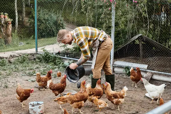 Hombre alegre y bien parecido con tatuajes alimentando gallinas en su pajarera mientras estaba en su granja en la aldea - foto de stock