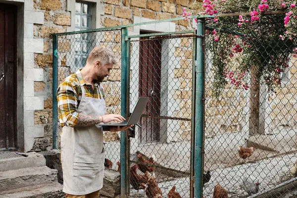 Bel homme barbu en tenue décontractée à l'aide d'un ordinateur portable pour analyser ses poulets en enclos à la ferme — Photo de stock