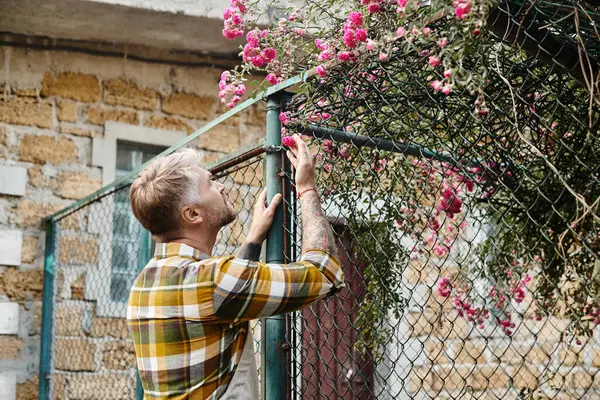 Appealing dedicated man in casual attire with beard and tattoo looking at pink rosehip flowers — Stock Photo