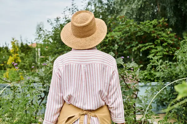 Вид сзади зрелой женщины в соломенной красивой шляпе, позирующей в своем оживленном саду во время работы — стоковое фото