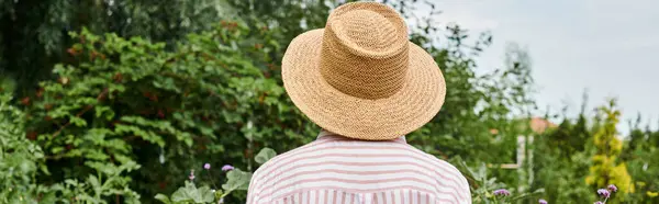 Vista trasera de la mujer madura en sombrero de paja posando en su animado jardín mientras trabaja allí, pancarta - foto de stock