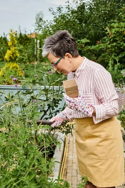 Attraente donna jolly maturo con occhiali e guanti utilizzando attrezzature giardinaggio sui suoi fiori — Foto stock