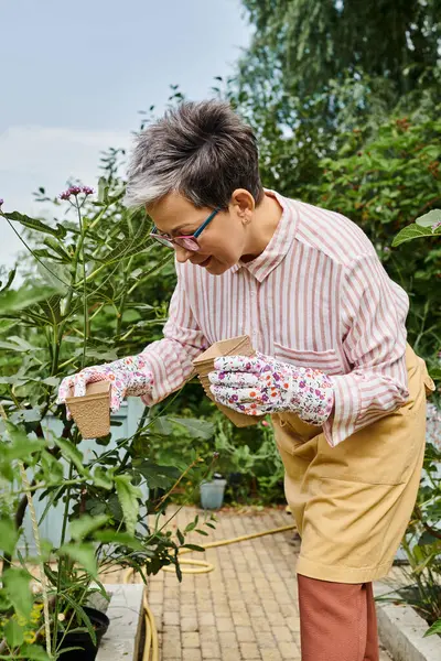 Красиво виглядає весела зріла жінка в окулярах і рукавичках, використовуючи обладнання для садівництва на її квітах — стокове фото