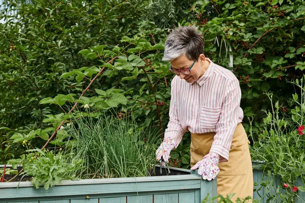 Atraente mulher madura alegre em traje casual com óculos trabalhando em seu jardim com cama de plantio — Fotografia de Stock