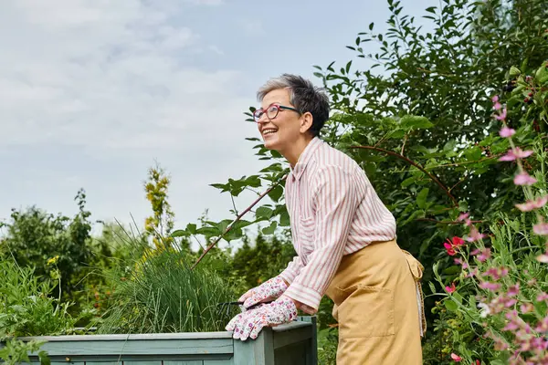 Atractiva mujer madura alegre en traje casual con gafas que trabajan en su jardín con la plantación de cama - foto de stock