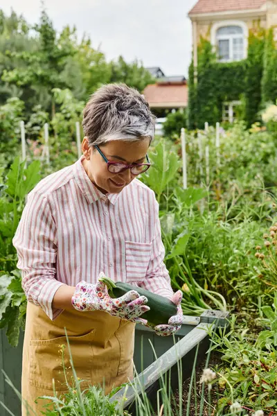 Mulher madura alegre atraente em traje casual com óculos segurando abobrinha fresca em seu jardim — Fotografia de Stock