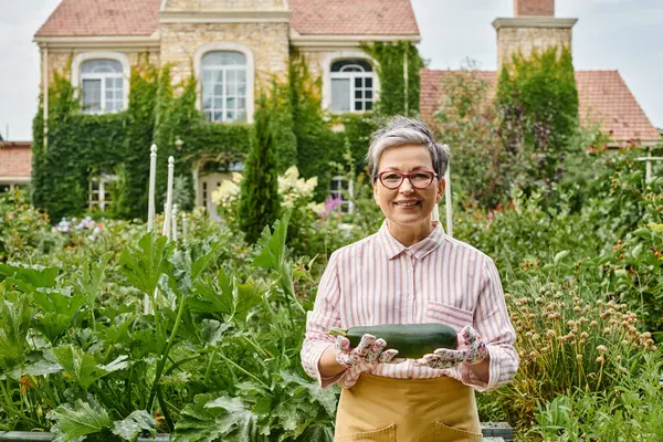 Bella donna gioiosa matura in abbigliamento casual con zucchine fresche in giardino e sorridente alla macchina fotografica — Foto stock