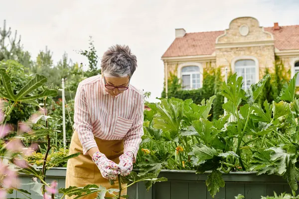 Atractiva mujer madura feliz con gafas trabajando en su jardín verde vivo y sonriendo alegremente - foto de stock