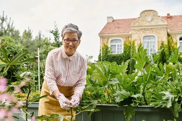 Весела зріла жінка в окулярах піклується про свої овочі в саду і дивиться на камеру — стокове фото
