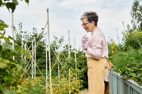 Радостной привлекательной зрелой женщины в очках и перчатках, заботящейся о свежих ягодах в саду — стоковое фото