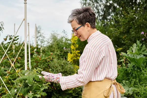 Радостная привлекательная зрелая женщина в очках и перчатках заботится о свежих ягодах в саду — стоковое фото
