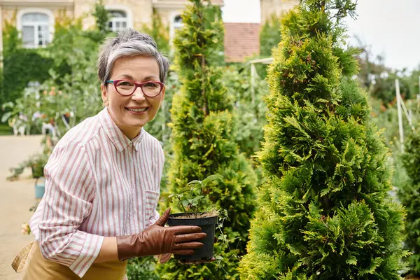 Веселая зрелая женщина заботится о растении в горшке в своем саду в Англии и улыбается перед камерой — стоковое фото