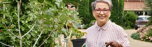 Joyful mature woman taking care of plant in pot in garden in England and smiling at camera, banner — Stock Photo