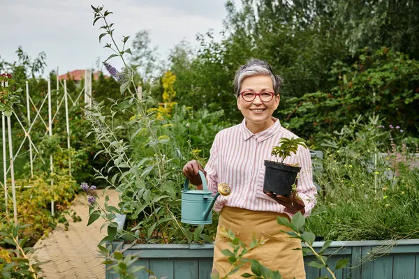 Appealing joyful mature woman holding watering can and pot with plant and smiling at camera, England — Stock Photo