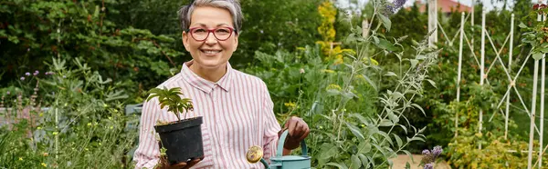 Appealing joyful mature woman holding watering can and pot with plant and smiling at camera, banner — Stock Photo