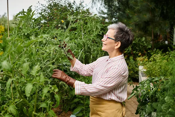 Красива радісна зріла жінка в окулярах бере активний догляд за рослинами в її яскравому саду — стокове фото