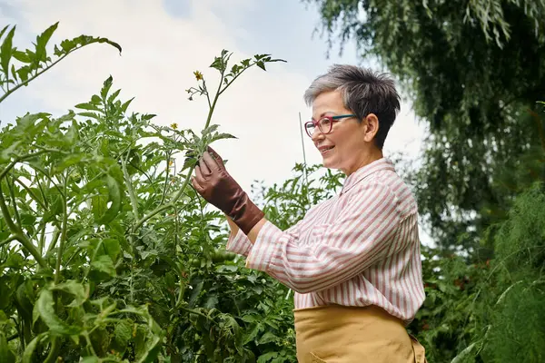 Bella donna matura gioiosa con gli occhiali prendersi cura attiva delle sue piante nel suo vivido giardino — Foto stock