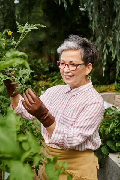 Красива радісна зріла жінка в окулярах бере активний догляд за рослинами в її яскравому саду — стокове фото