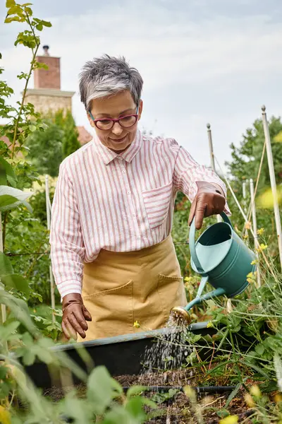 Приваблива весела зріла жінка зі стильними окулярами для поливу рослин у своєму саду в Англії — стокове фото