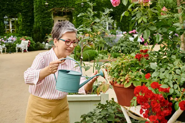 Belle femme joliment mature arrosant ses fleurs animées et vibrantes dans son jardin en Angleterre — Photo de stock