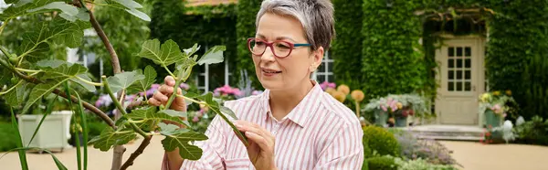 Cheerful mature woman in cozy attire taking care of vivid flowers near her house in England, banner — Stock Photo