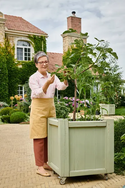 Bela mulher madura alegre em trajes acolhedores cuidando de flores vivas perto de sua casa na Inglaterra — Fotografia de Stock