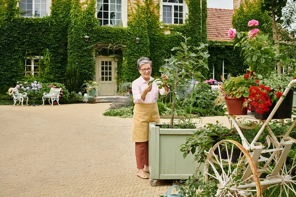 Hermosa mujer madura alegre en traje acogedor cuidando de flores vívidas cerca de su casa en Inglaterra - foto de stock