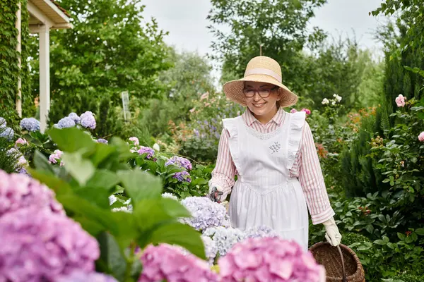 Gut aussehende, reife Frau mit Schürze und Gartengeräten, die sich um schöne Hortensien kümmert — Stockfoto