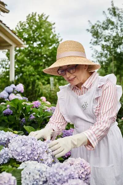 Belle femme mûre joyeuse avec tablier et lunettes prenant soin de sa belle hortensia — Photo de stock