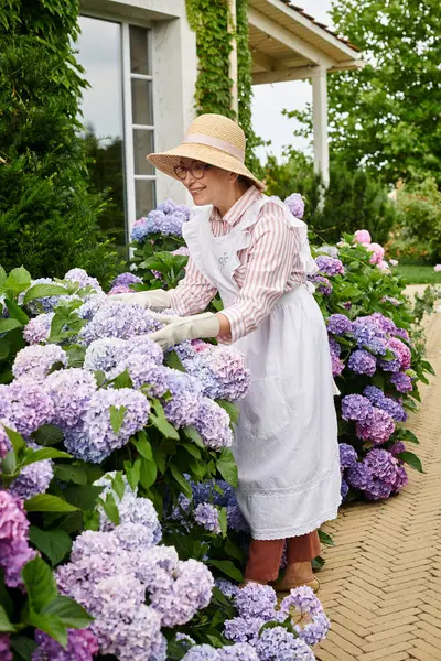 Appealing cheerful mature woman with hat and glasses taking care of her vibrant fresh hydrangea — Stock Photo