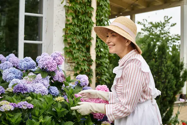 Belle femme joyeuse mature en robe et tablier prenant soin actif de son hortensia vibrante — Photo de stock