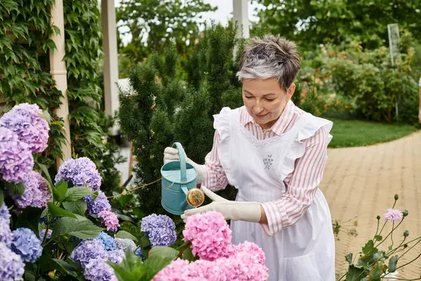 Atractiva mujer madura alegre en vestido vívido regando sus hortensias vibrantes en su jardín en Inglaterra - foto de stock