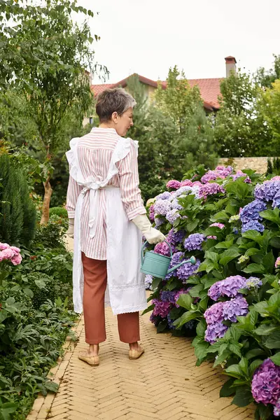 Atractiva mujer madura alegre en vestido vívido regando sus hortensias vibrantes en su jardín en Inglaterra - foto de stock