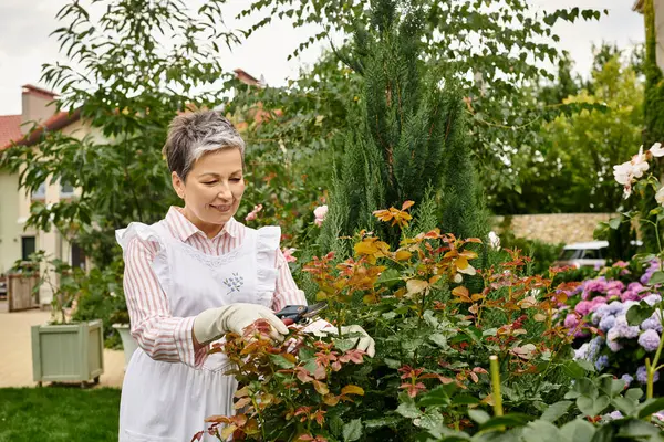 Зрелая веселая красивая женщина с короткими волосами с помощью садовых инструментов, чтобы заботиться о живой шиповник — стоковое фото