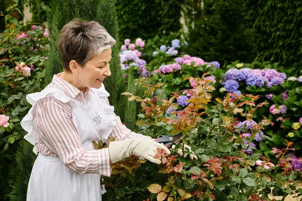 Mulher bonita alegre madura com cabelo curto usando ferramentas de jardinagem para cuidar da animada rosa mosqueta — Fotografia de Stock