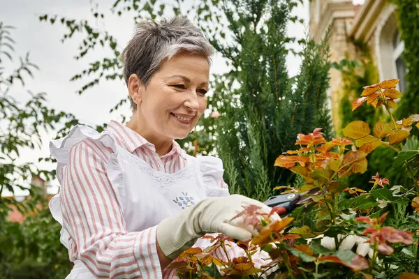 Mature joyeuse belle femme aux cheveux courts à l'aide d'outils de jardinage pour prendre soin de rose musquée vivante — Photo de stock