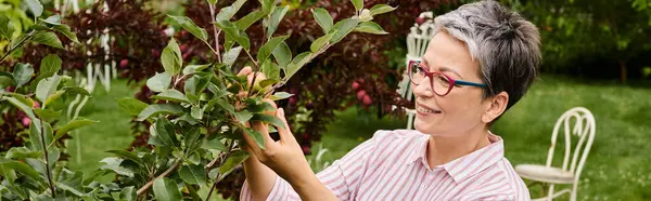 Hermosa mujer madura alegre en traje casual con gafas que recogen manzanas frescas deliciosas, pancarta - foto de stock
