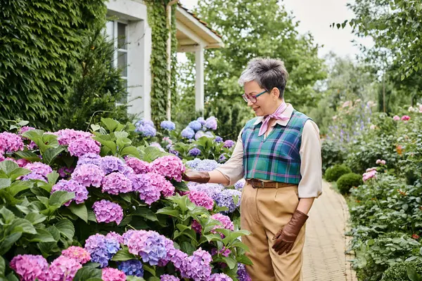 Debonair cheerful mature woman with stylish glasses posing near vibrant hydrangeas and looking away — Stock Photo