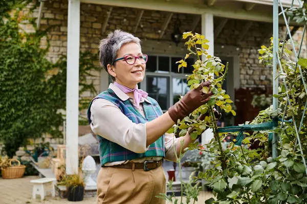 Mulher madura alegre elegante com óculos olhando alegremente para suas plantas perto de sua casa na Inglaterra — Fotografia de Stock