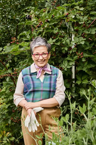 Joyful refined mature woman with gloves and glasses taking care of her plants and smiling at camera — Stock Photo